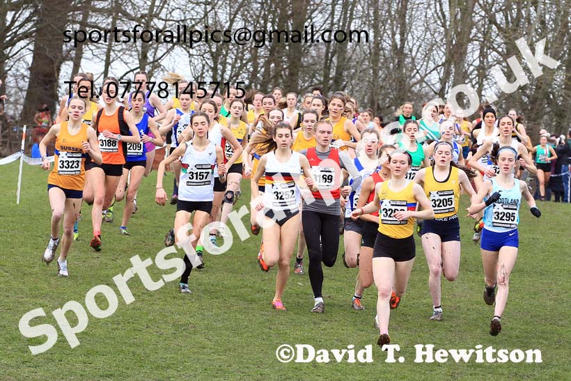 Womens Under-20s 2023 UK CAU Inter Counties Cross Country Champs, Prestwold Hall, Loughborough. Photo: David T. Hewitson/Sports for All Pics